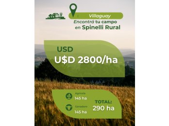 290 ha 5km de Villaguay