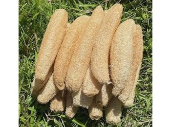 Venta de esponjas vegetales