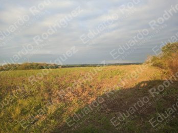 En venta excelente lote – Acceso Norte