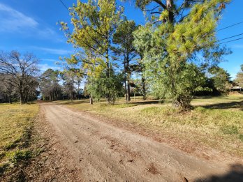 VENDO TERRENO EN LAS ACACIAS