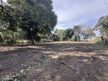 VENDO TERRENO SOBRE AV. ZANNI