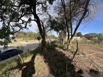 VENDO TERRENO SOBRE AV. ZANNI