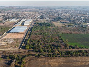 VENTA DE CAMPO - COLONIA AVELLANEDA - OPORTUNIDAD INVERSORES