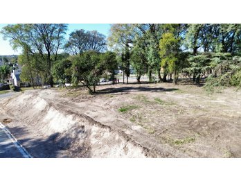 VENTA - LOTES SOBRE CALLES DARWIN, AMBROSETTI Y BLAS PARERA