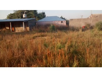 DESMALEZADOS - LIMPIEZA - PODAS - EXTRACCION