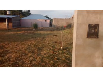 DESMALEZADOS - LIMPIEZA - PODAS - EXTRACCION