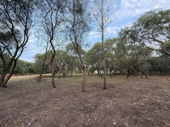 A metros del Autódromo, Sauce Montrull – Lote en Vent