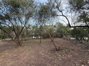 A metros del Autódromo, Sauce Montrull – Lote en Vent
