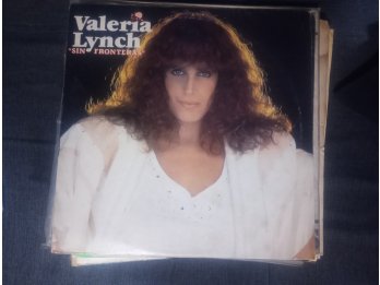 Lote de vinilos