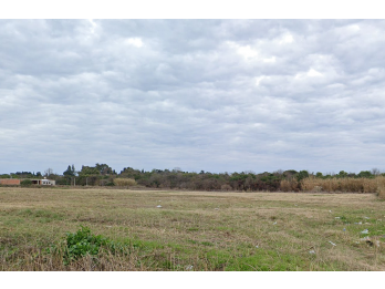 En venta  Lote 350m2 - Zona Garrigo y Av. de las americas