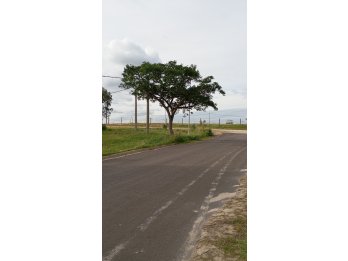 VENDO TERRENOS EN LOTEO "JARDNES DEL HIPODROMO" ORO VERDE