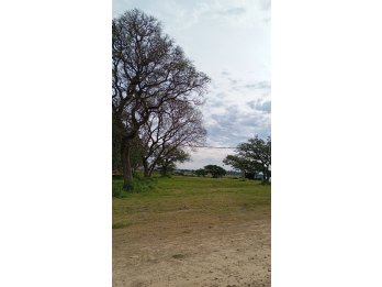 VENDO TERRENOS EN LOTEO "JARDNES DEL HIPODROMO" ORO VERDE