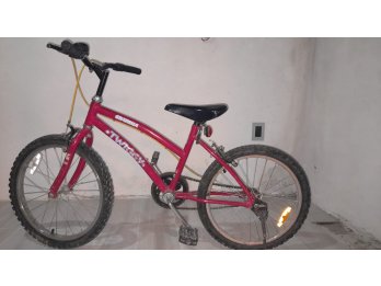 BICICLETA PASEO NIÑA Rodado  24