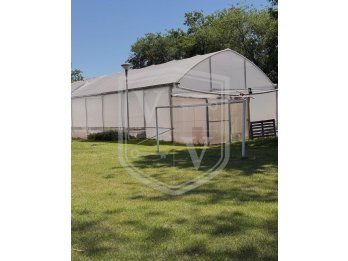 ¡QUINTA EN VENTA – LAS ACACIAS!