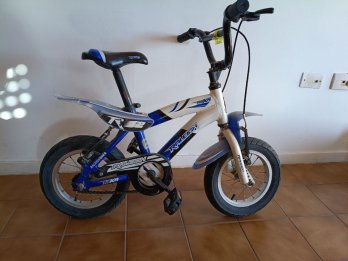 Bici Raleigh Rodado 12