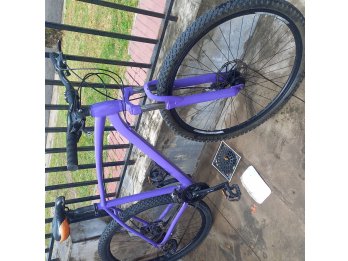 Bicicleta Rod 29