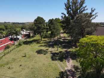 VENTA DE EXCELENTE CAMPO EN PARANA - OPORTUNIDAD INMEJORABLE