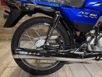 Suzuki Ax 100 ¡ Entrega Inmediata ! 0 Km