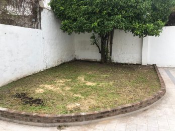 CASA CENTRICA OFICINAS-CONSULTORIOS-VIVIENDA