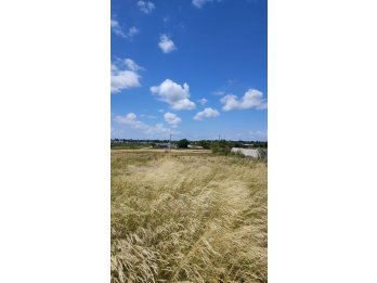 Se vende terreno en Tierra Alta 2 de 487,5 listo p/construir