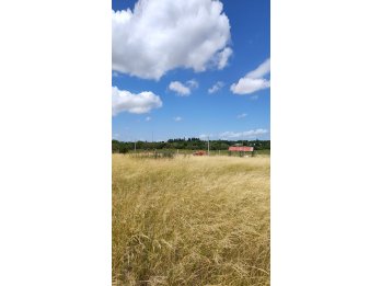 Se vende amplio terreno listo p/construir en Tierra Alta 2