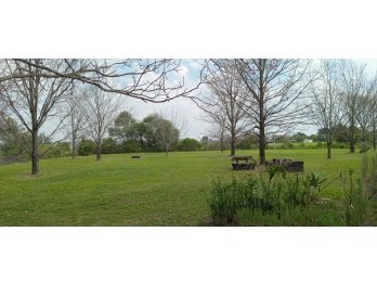 CASA QUINTA CON PILETA Y PLANTACION DE NOGALES