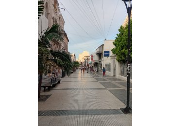 Alquilo local Peatonal San Martin