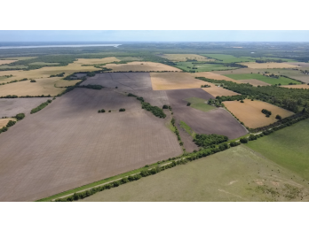 CAMPO EN VENTA EN COLONIA  AVELLANEDA