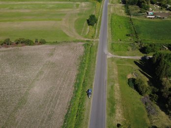 VENTA - CAMPO SOBRE RUTA EN SEGUI