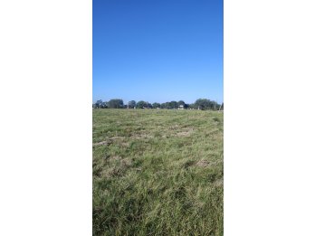 Últimos dos lotes en Barrio Parque sobre asfalto (Oro Verde)