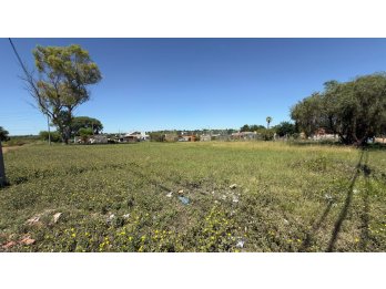 🚨 OPORTUNIDAD ÚNICA – TERRENO EN VENTA EN SAN BENITO 🚨