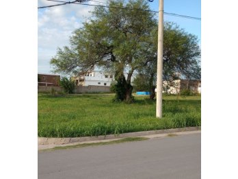 Dueño Vende Oro Verde Oasis II