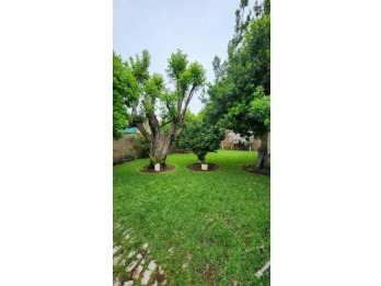 CALLE GOBERNADOR QUIROZ CASA EN VENTA