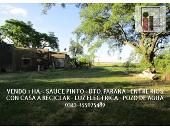 VENDO UNA HECTAREA EN SAUCE PINTO, SOBRE BROZA.