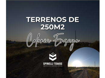 TERRENOS EN COLONIA ENSAYO