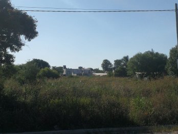 Caputto y Tibiletti