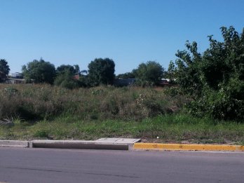 Caputto y Tibiletti