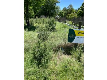 SE VENDE TERRENO SOBRE RUTA 12 - Sauce Montrul