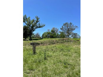 SE VENDE TERRENO SOBRE RUTA 12 - Sauce Montrul