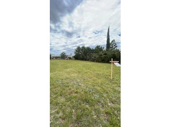 LOTE EN VENTA AL INGRESO DE COLONIA ENSAYO 549 M2