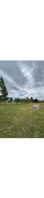 LOTE EN VENTA AL INGRESO DE COLONIA ENSAYO 549 M2