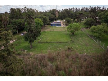 🌿 VENDO LOTES EN SAUCE MONTRULL – BARRIO EL MOLINO 1.600 M²