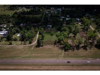 🌿 VENDO LOTES EN SAUCE MONTRULL – BARRIO EL MOLINO 1.600 M²