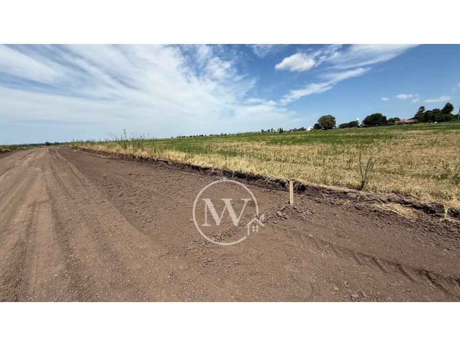 TERRENOS EN COLONIA ENSAYO, LOTEO COLINAS, DESDE 5.950 USD