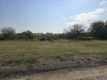 🌱 TERRENO EN VENTA – COLONIA ENSAYO