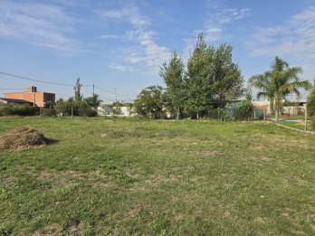 🌱 TERRENO EN VENTA – COLONIA ENSAYO