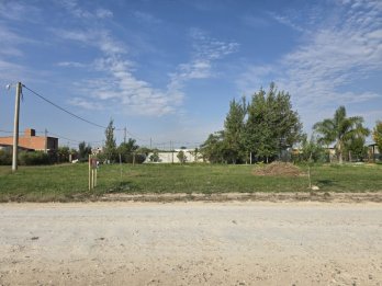 🌱 TERRENO EN VENTA – COLONIA ENSAYO