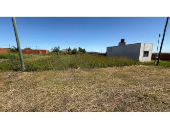TERRENO EN COLONIA ENSAYO, LOTEO CARDALES, 450 M2