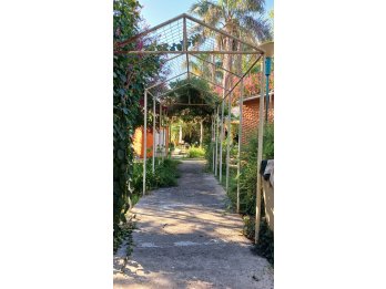 CASA QUINTA CON GRAN TERRENO SAUCE MONTRULL