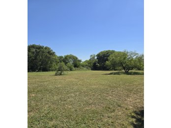 Lote en Sauce Montrull a 400mt de ruta 12 con financiación